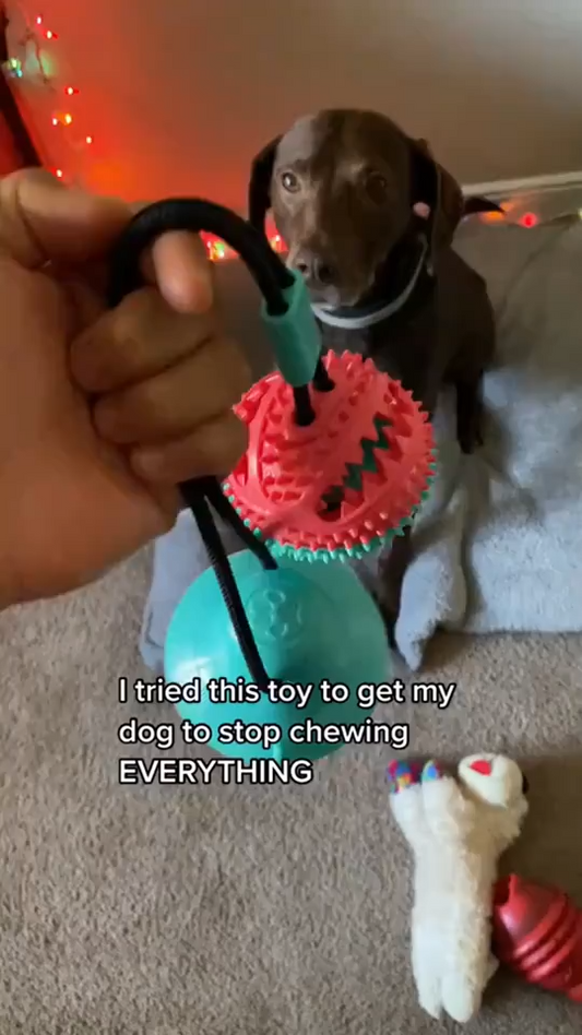 Juguete interactivo con ventosa para la limpieza dental de perros